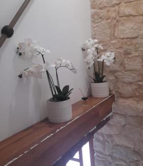 Sinj Apartment | Old house 2