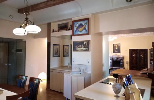 Uzupis Apartment | Old town/Uzupis apartments at the river bank