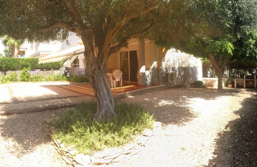 Canet de Berenguer Apartment | ❤️ OLIPLAGE ❤️ Between Beach and Orange trees, under the Olive tree ❤️