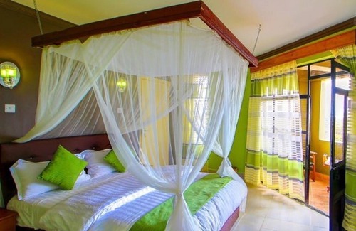 Naivasha Hotel | Olive Resort