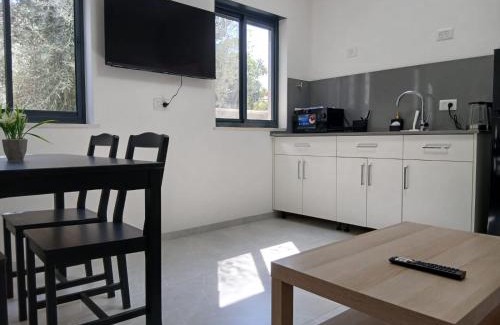 Beit Hillel Apartment | Olive shade