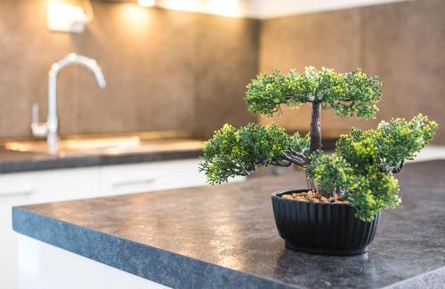 Stobrec Apartment | Olive Tree Apartments