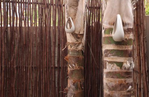 Upington Bed & Breakfast | Olive Tree B&B
