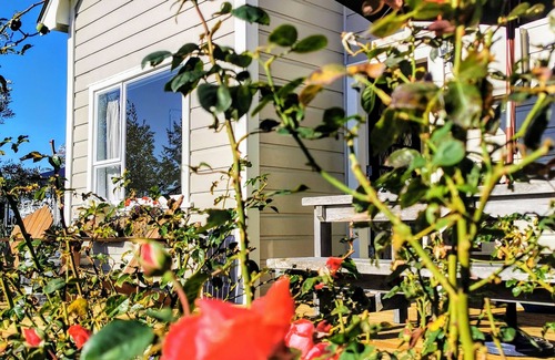 Martinborough Cottage | Olive Tree Cottage, Martinborough