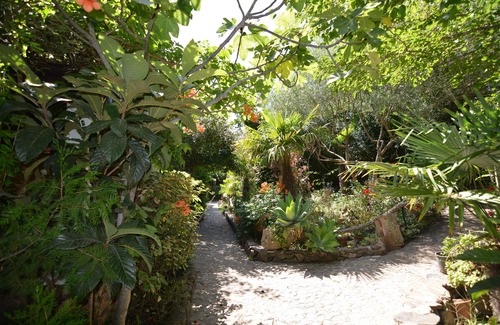 Tanaunella Apartment | Olive tree * Studios * 800 m from the sea in Tanaunella Budoni