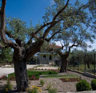Vourvourou Apartment | Olivegrove House