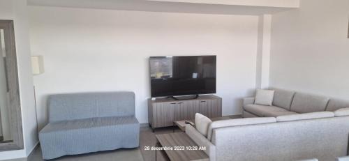 Timisoara Apartment | Olympus Residence