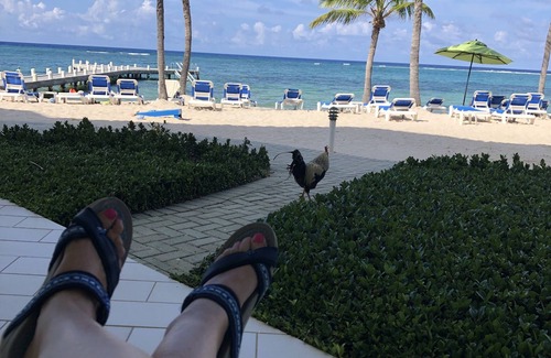 Colliers Bay Resort | On Beach sleeps 6 Luxury 2 bedroom Condo on beach Incredible views! Dec 21-28