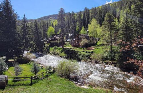 Vail Apartment | On Gore Creek, Pet Friendly, Steps from Free Bus Stop & Great Value