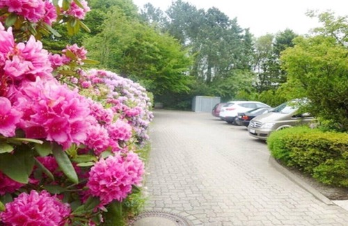 Otterndorf House | One-bedroom apartment