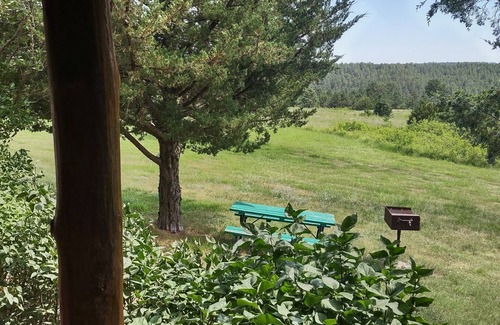 Rosebud Cabin | One of two rustic cabins nestled in Rosebud Sicangu Lakota Oyate pine forest.
