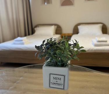 Ban Mai Apartment | OP Open View เมืองทอง T12 impact muang thong thani