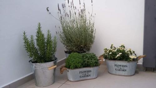 Agii Apostoli Apartment | Orama Suites I