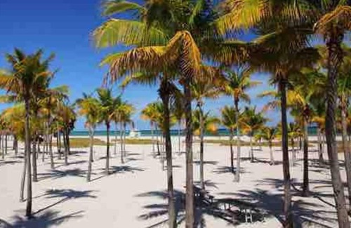 Coral Way Apartment | Orange You Glad you came