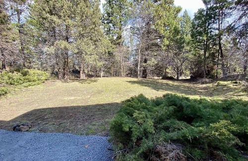 Orchard District House | Orchard District, Amazing Yard Next To Hollinshead Park w/Daylight Basement w/Billiards