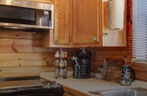 Mount Ida Cabin | Ouachita Crystal Cabin in the Woods