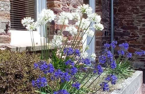 Monterfil House | Out of sight, near Broceliande, the legendary forest of King Arthur