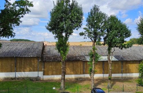 Zakrzow Bed & Breakfast | Pałac Lucja BB