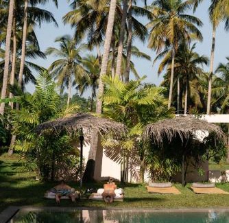 Ahangama Hotel | PALM Hotel
