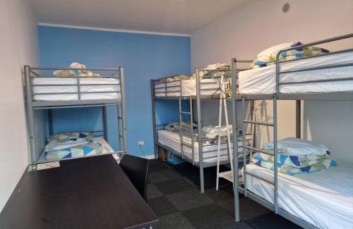 Paihia Hotel | Palm Tree Apartments & backpackers