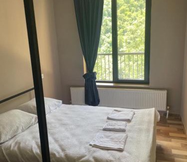 Likani Ski Chalet | Panorama Orcs