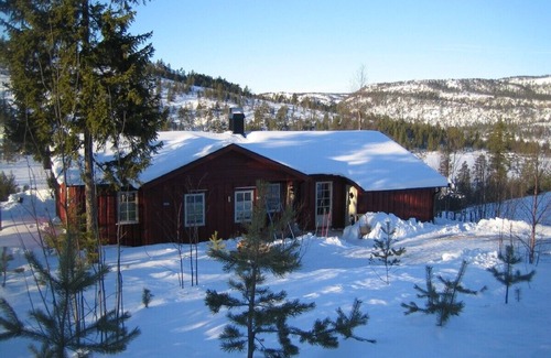 Nissedal Cottage | panorama view, modern apartment, quiet location, canoe, sauna
