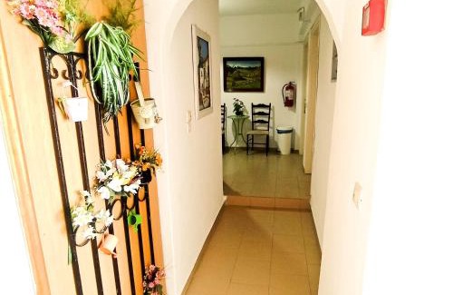 Skiathos Apartment | PANSION KONSTANTINOS