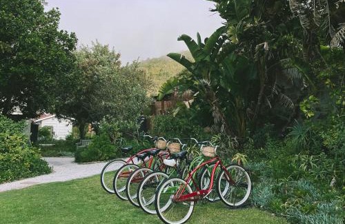 Knysna Apartment | Panzi Garden Suite