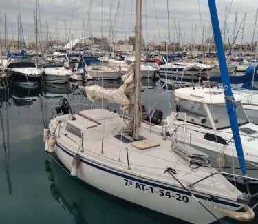 Torrevieja Boat Rental | Papifrank
