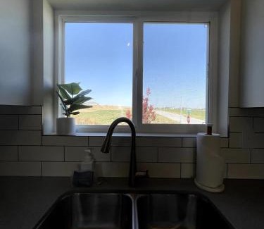 Papillion House | Papillion The White Pine Modern Spacious with Garage