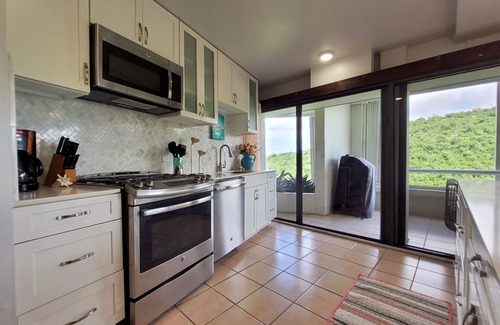Rosendal Condo | Paradise Found 1BR/1BA, 5 min to Magen's Bay