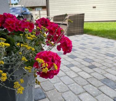 Haapsalu Apartment | Paralepa Guest House