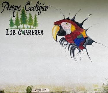 San Vicente Pacaya Other | Parque Ecológico los Cipreses Volcán Pacaya