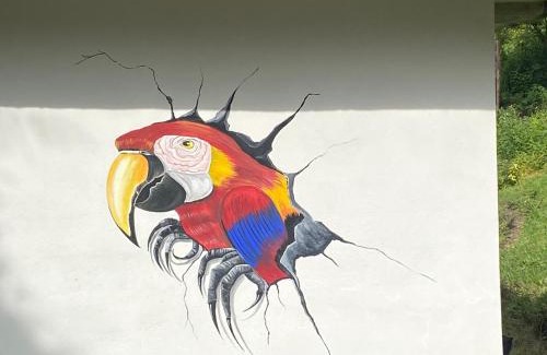 San Vicente Pacaya Other | Parque Ecológico los Cipreses Volcán Pacaya