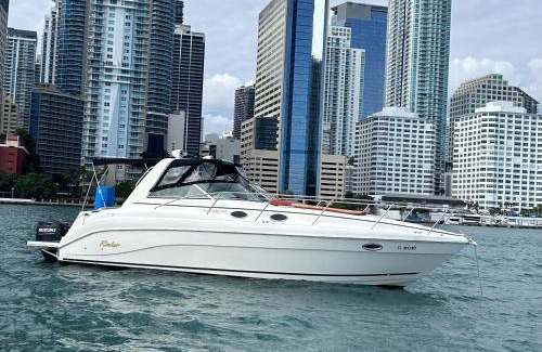Little Havana Boat Rental | Party On The Seas