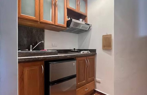 Zona Colonial Apartment | Paseo Colonial - El Monasterio 4