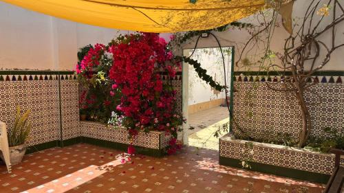 Isla Cristina House | Patios de la Carmela