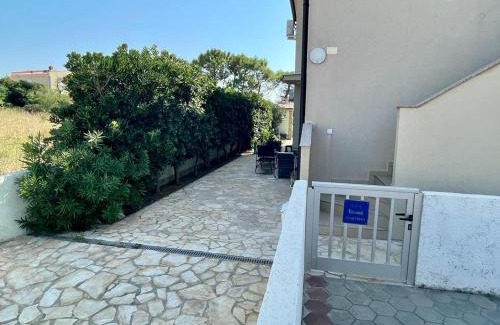 Povljana Apartment | PATRIK