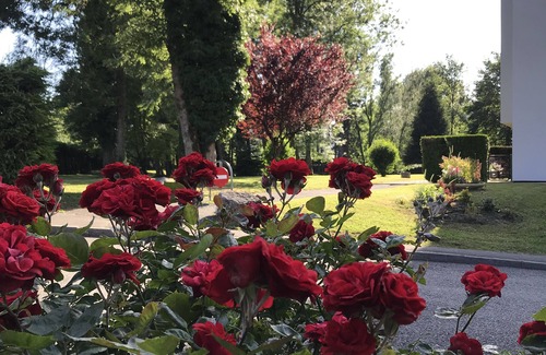 Bonneville Apartment | Peace and quiet just 5 minutes from downtown - La Lisière T2
