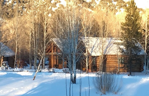 Rigby Cabin | Peaceful 1-bedroom log cabin “Bear” in Ririe
