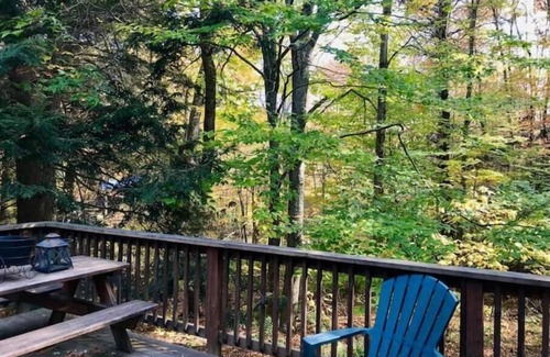 Wilmington Cabin | Peaceful Cabin Perfect for All Seasons