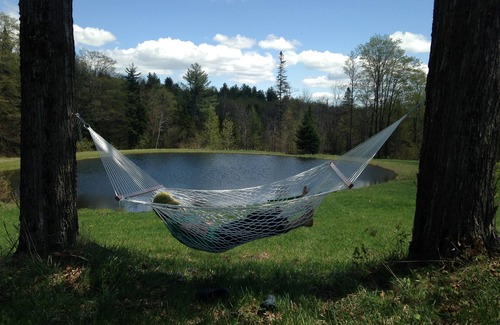 Washington Cabin | Peaceful, cozy, off-grid cabin on a horse farm in the beautiful mountains of VT.