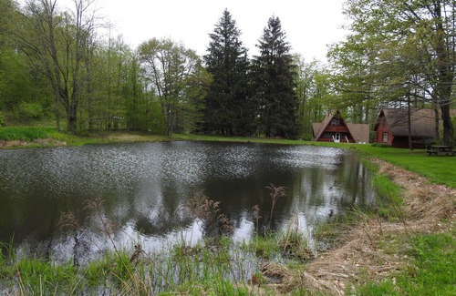 Genesee Cabin | Peaceful Days~Cozy Cabin~Sounds of Silence~Star Gazing~Relax
