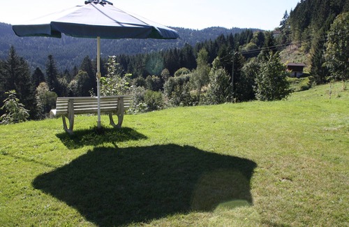 Gerardmer Cottage | Peaceful gîte with garage, terrace and Wifi near Gérardmer lake