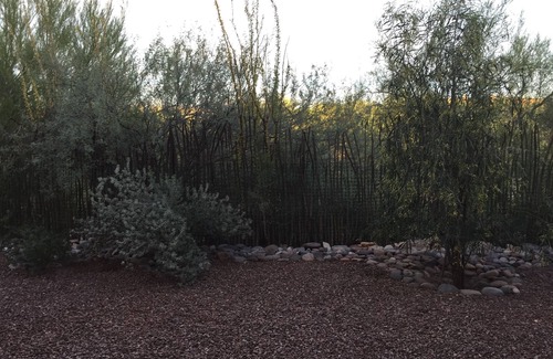 Bridlewood West House | Peaceful Quiet Home In The Desert