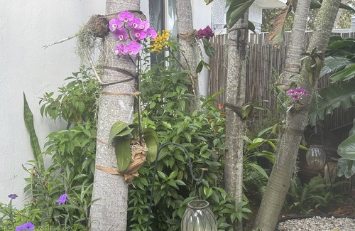 South Middle River House | Peaceful quiet relaxing pet friendly close to Wilton Manors.