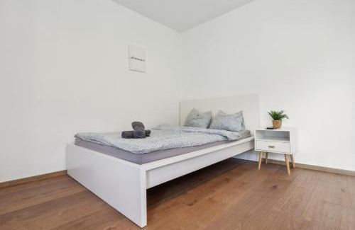 Schaffhausen Apartment | Pearlstay - Quiet Location Workplace Parking Washer
