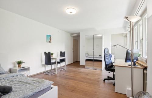 Schaffhausen Apartment | Pearlstay - Quiet Location Workplace Parking Washer