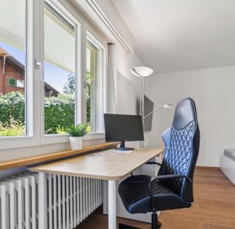 Schaffhausen Apartment | Pearlstay - Quiet Location Workplace Parking Washer