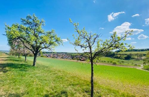 Waldfenster House | Pension Schmitt